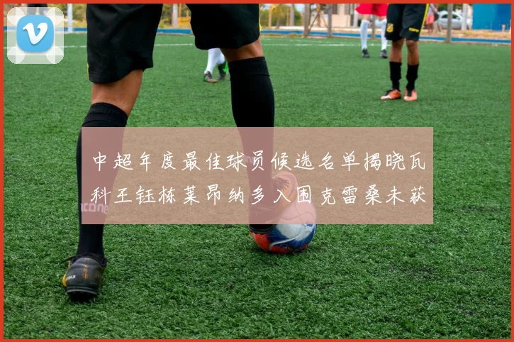 中超年度最佳球员候选名单揭晓瓦科王钰栋莱昂纳多入围克雷桑未获提名