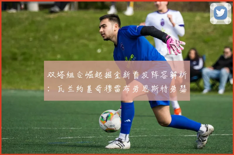 双塔组合崛起掘金新首发阵容解析：瓦兰约基奇穆雷布劳恩斯特劳瑟携手出击