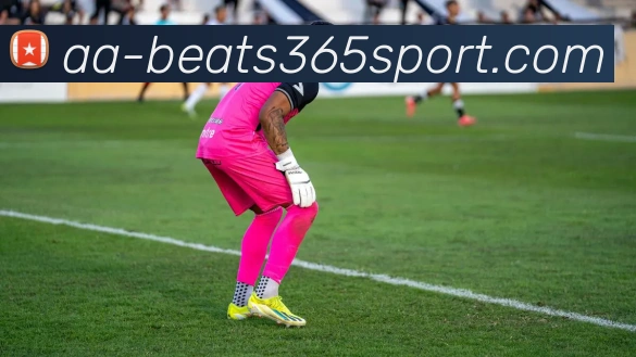 beats365体育APP 封面图